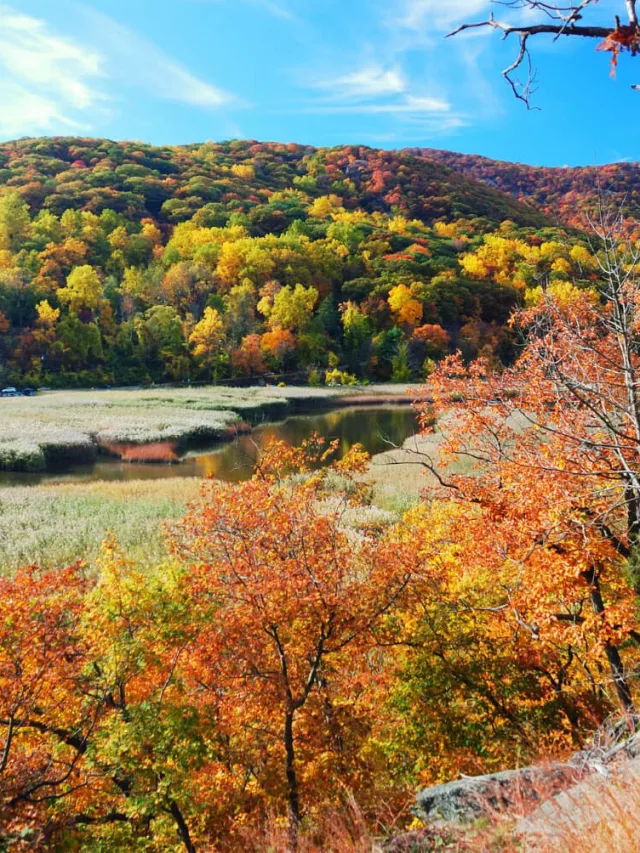 Things to Do in Fall Foliage in Pennsylvania