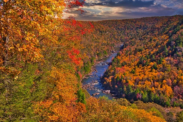 Fall Foliage In pennsylvania