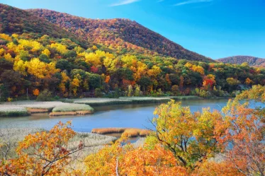 Fall Foliage in the Catskill Mountains