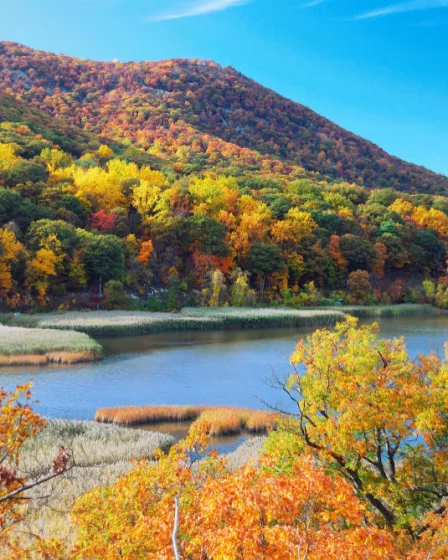Fall Foliage in the Catskill Mountains
